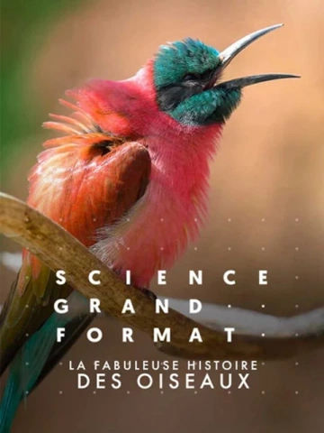 Science Grand Format - la fabuleuse histoire des oiseaux