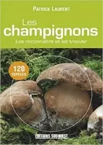 Les champignons Les reconnaitre et les trouver