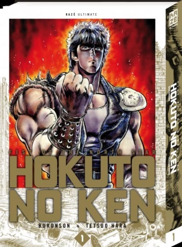 Hokuto no Ken - Deluxe T01 à T14